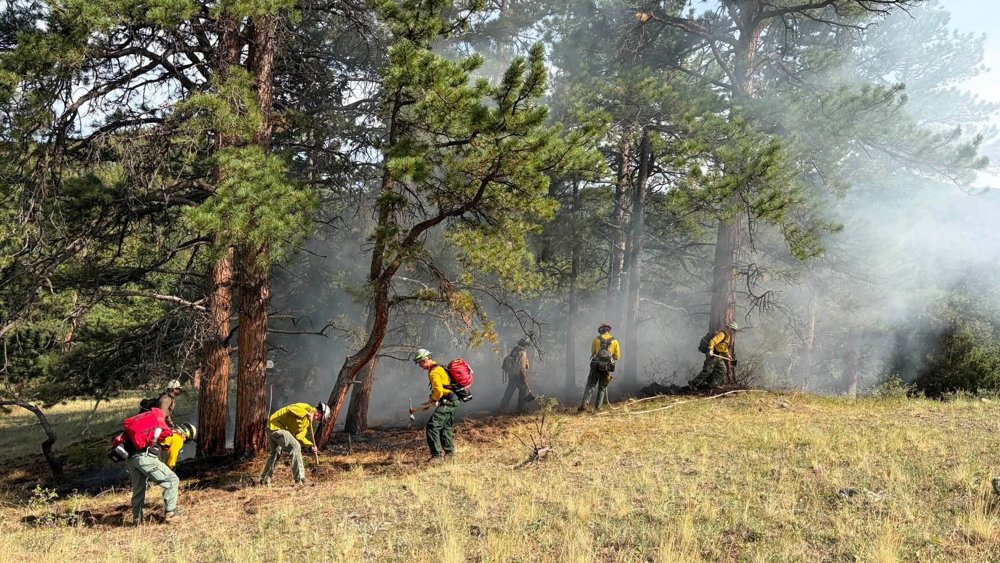 Wildland crew doing hazardous fuel mitigation work on a smoky hillside